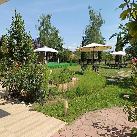 Hotel Esprit Брашов Екстериор снимка